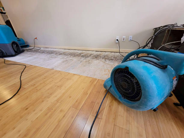 Professional Structural Drying technician working in Mayo, FL